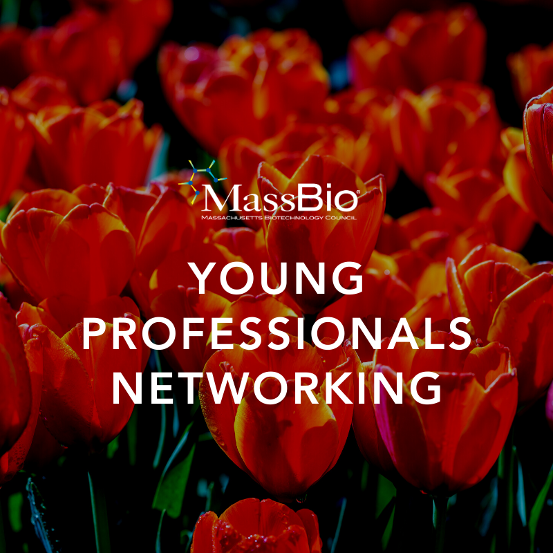 MassBio Young Professionals Event: Floral Arrangement Workshop